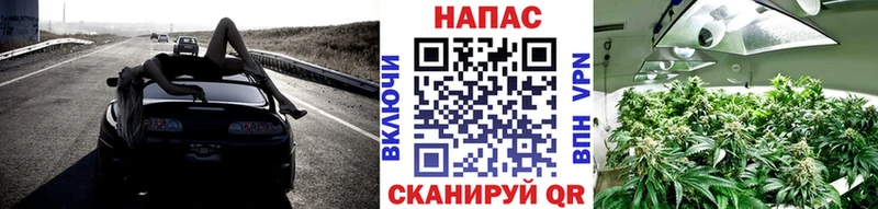 Купить закладку Бошки Шишки  Меф  Псилоцибиновые грибы  ГАШИШ  Жердевка