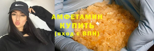 прущие грибы Заводоуковск