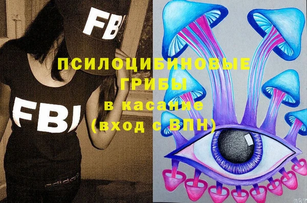 дживик Елизово