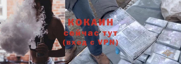 дживик Елизово