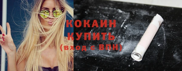дживик Елизово
