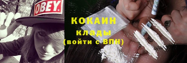 дживик Елизово