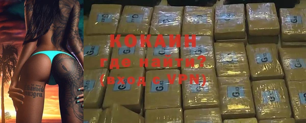 прущие грибы Заводоуковск