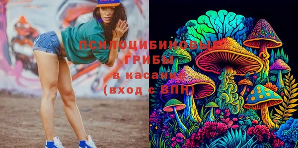 метамфетамин Ельня